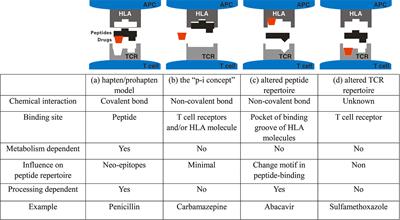 Pharmacogenetic Testing for Prevention of Severe Cutaneous Adverse Drug Reactions